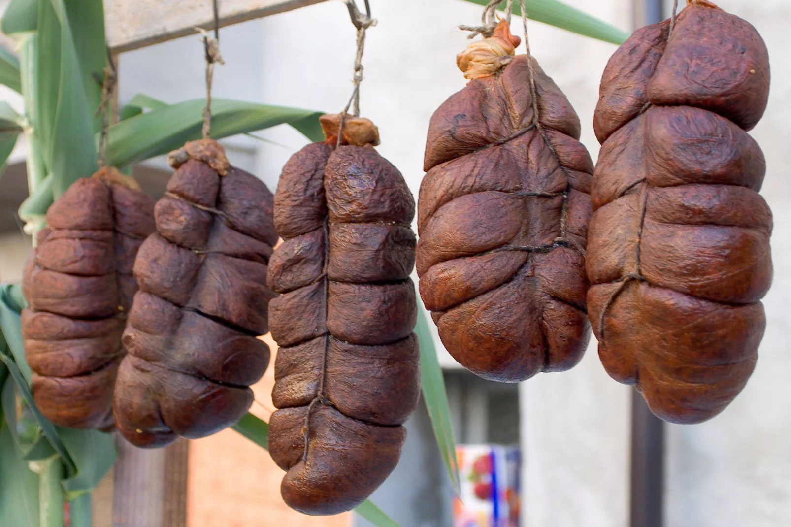 Nduja-Zones été à 20 km