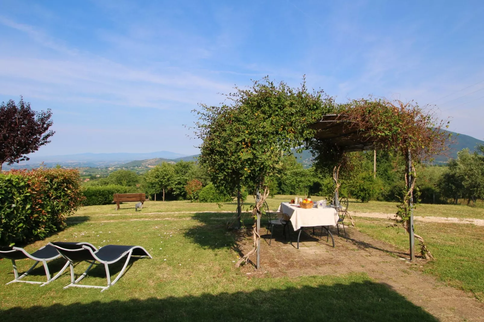 Lavanda-Terrasse / balcon