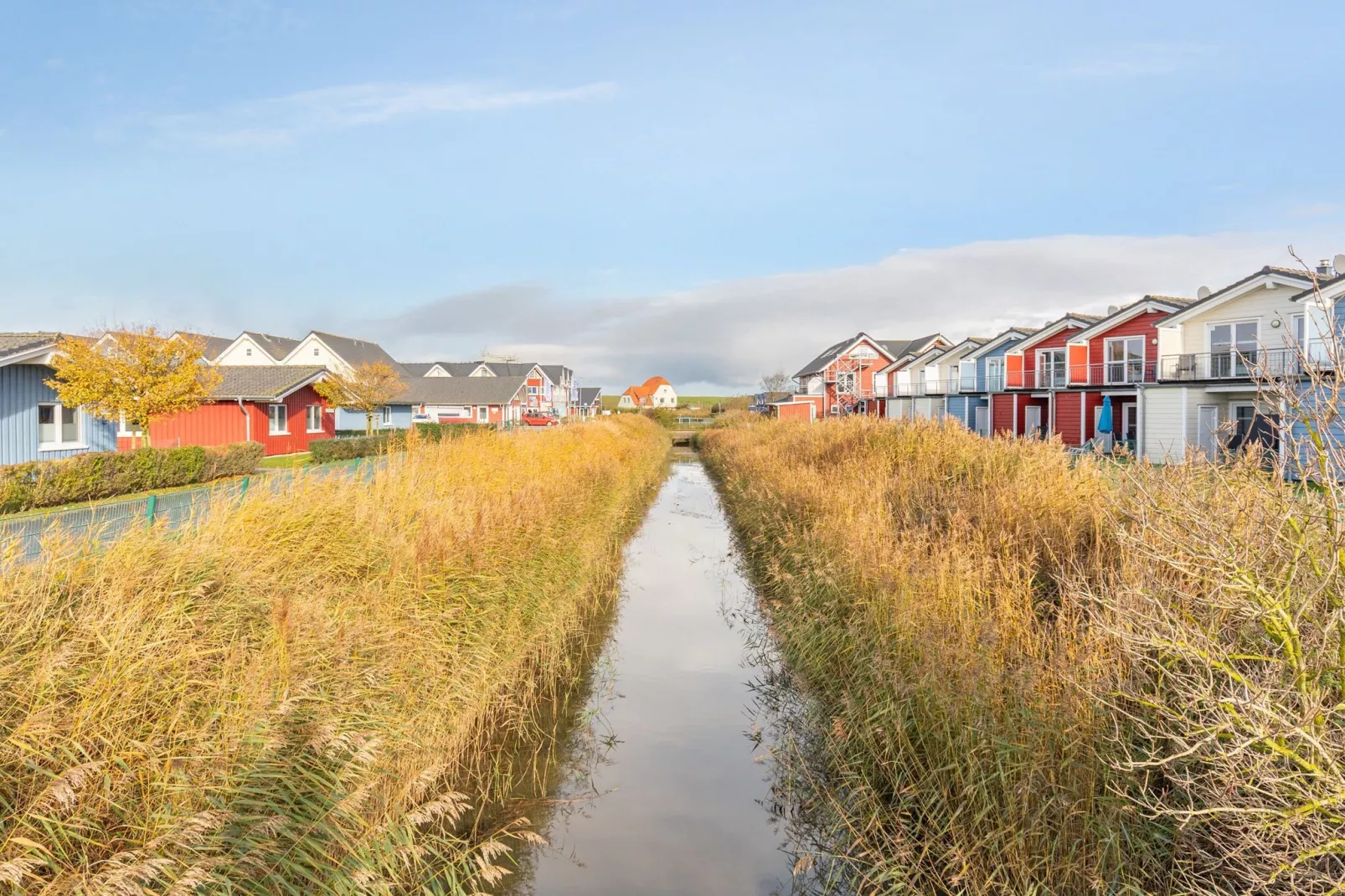 Reihenhaus in Dagebüll - Krabbenfischer-Areas within 1km in summer