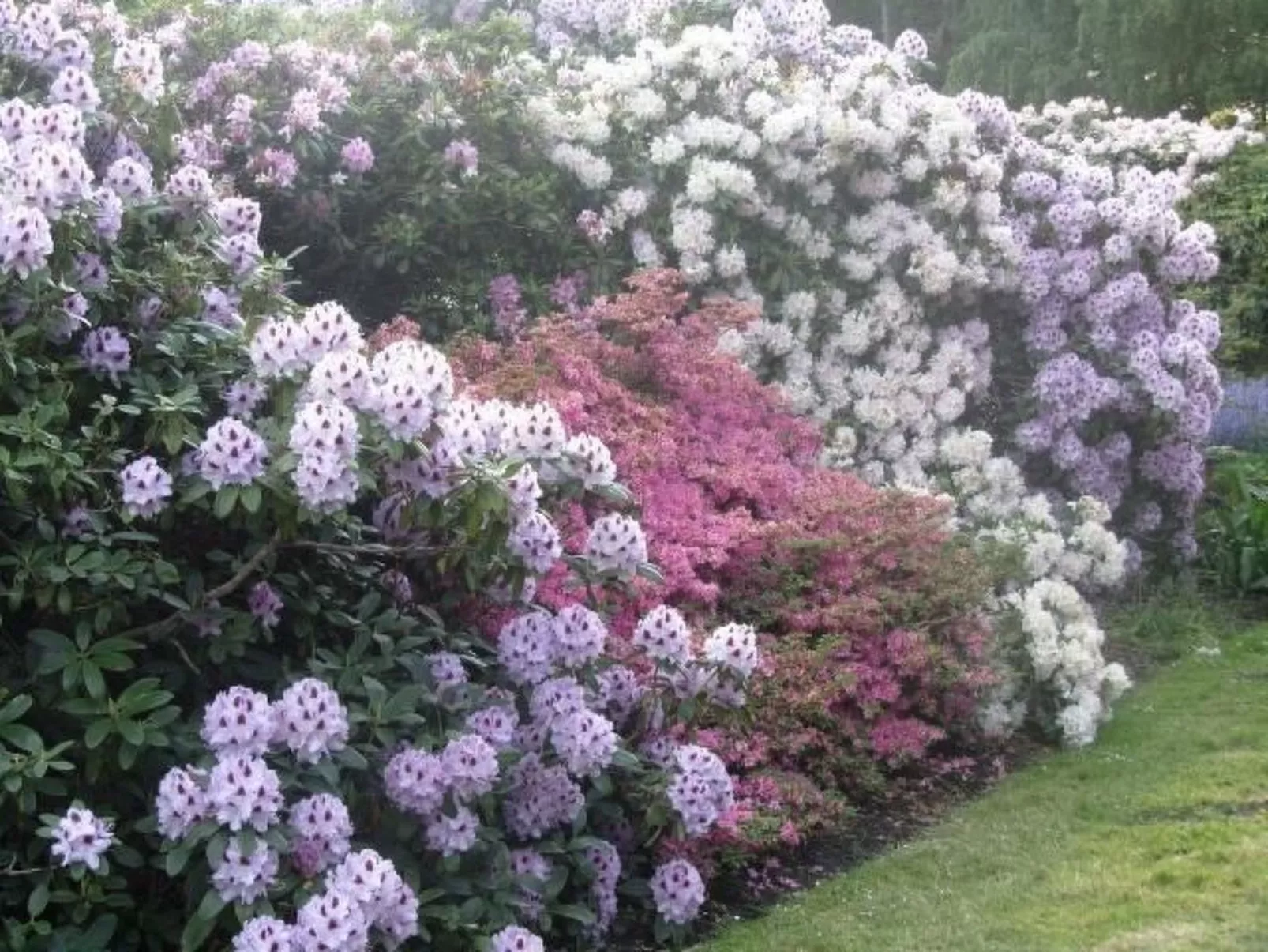 Meerestraum-Image-tags.info