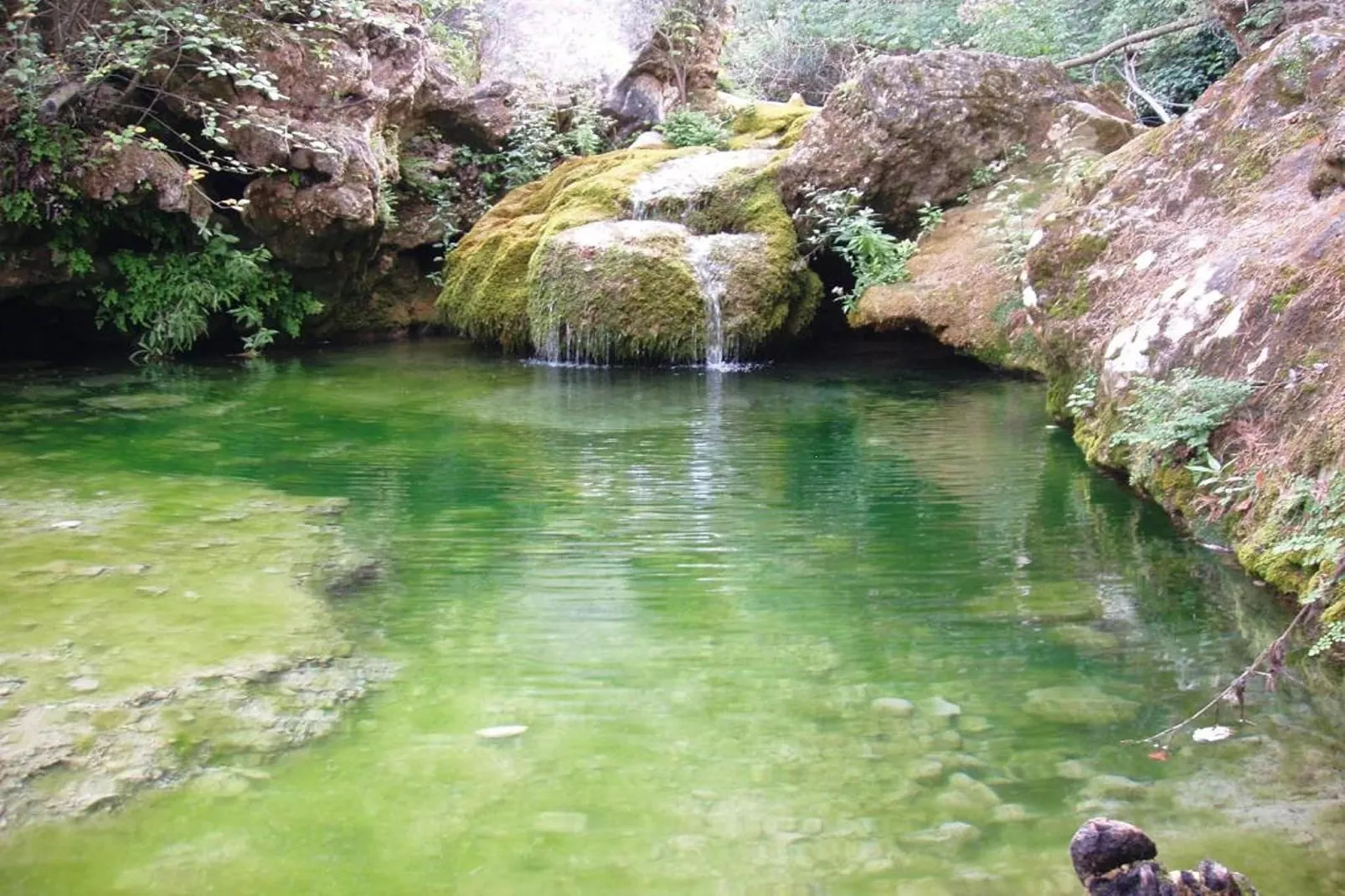 Mas de l'Arlequi - Ambiance