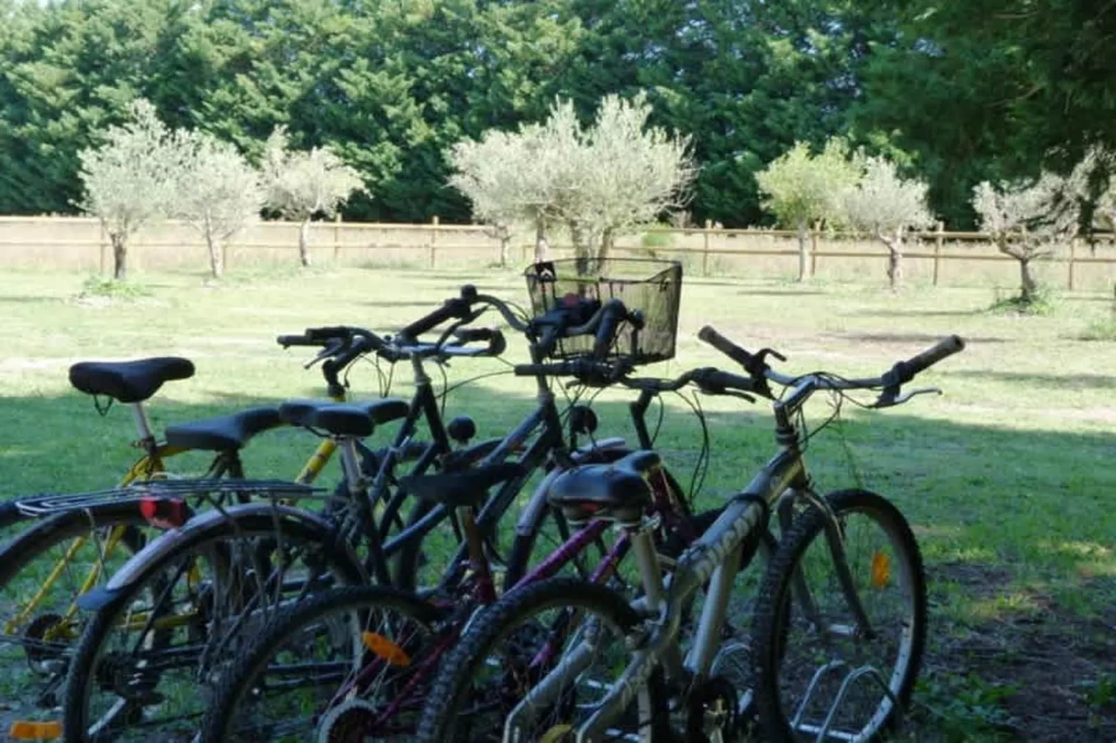 Villa provencale pour les amoureux de la nature en Lubéron-Facilities