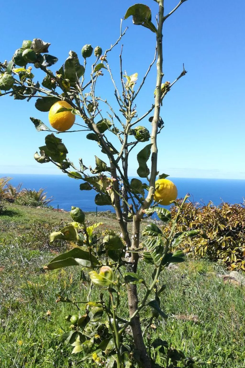 Romantische Ferienvilla mit Infinity-Pool und Panoramameerblick - Image-tags.info