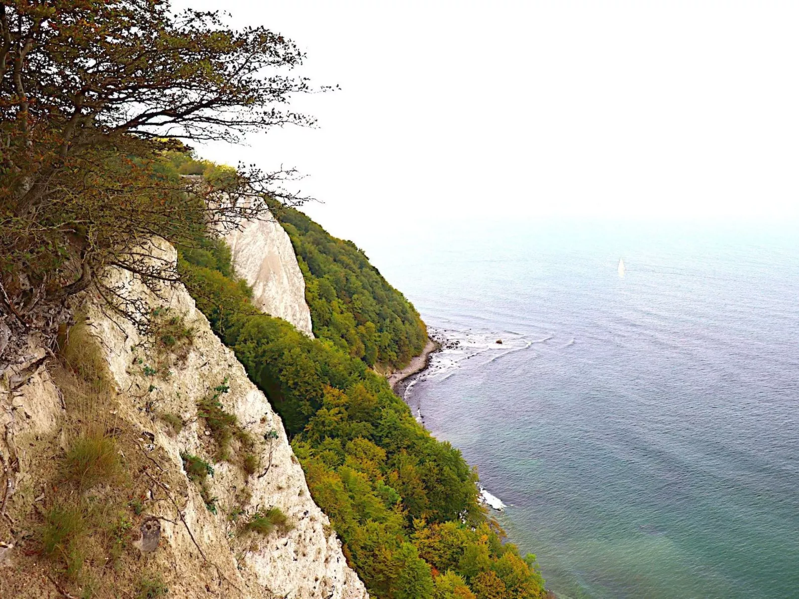 Lisa - Image-tags.info