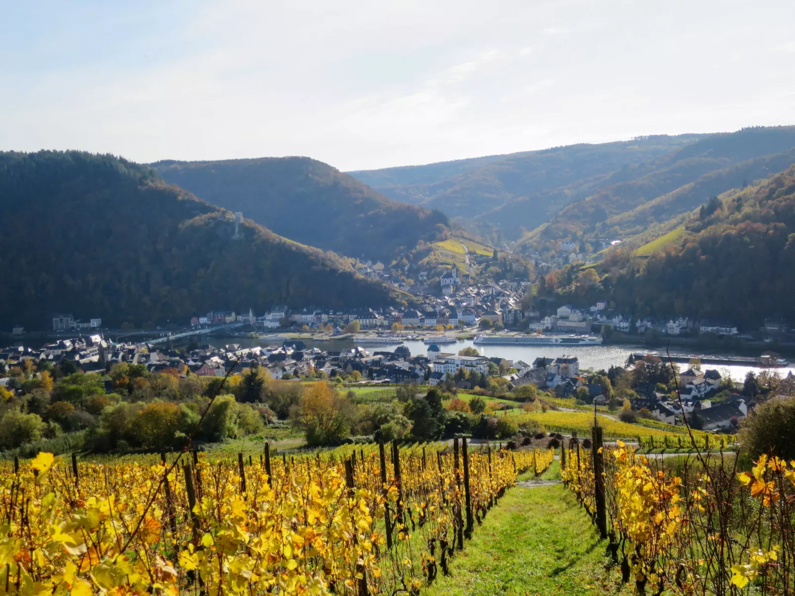 Moselromance mit großer Sonnenterrasse - Umgebung