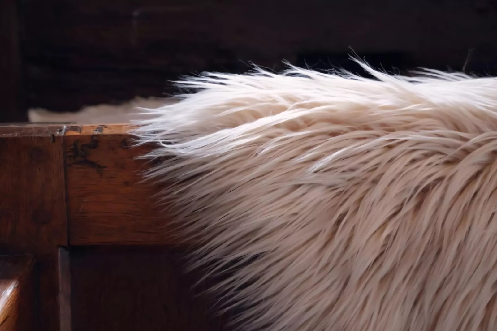 Gite L'éternité - Ambiente