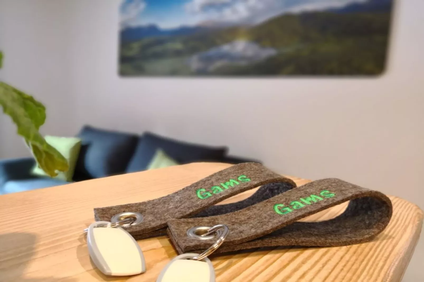 Ferienhaus Badersee - alle Einheiten zusammen - Ambiance