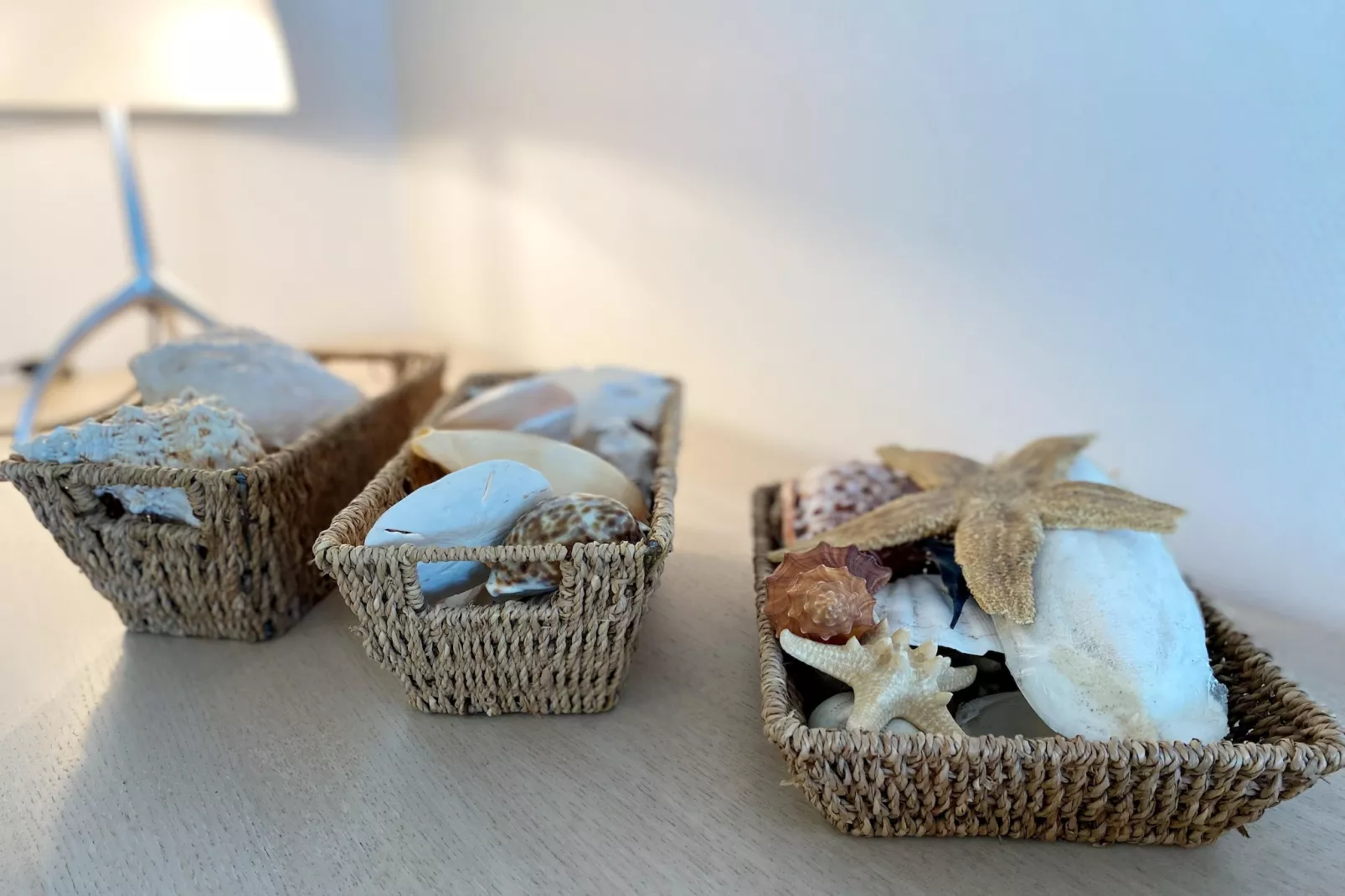 SUNFLOWER 0705GAR-Ambiance