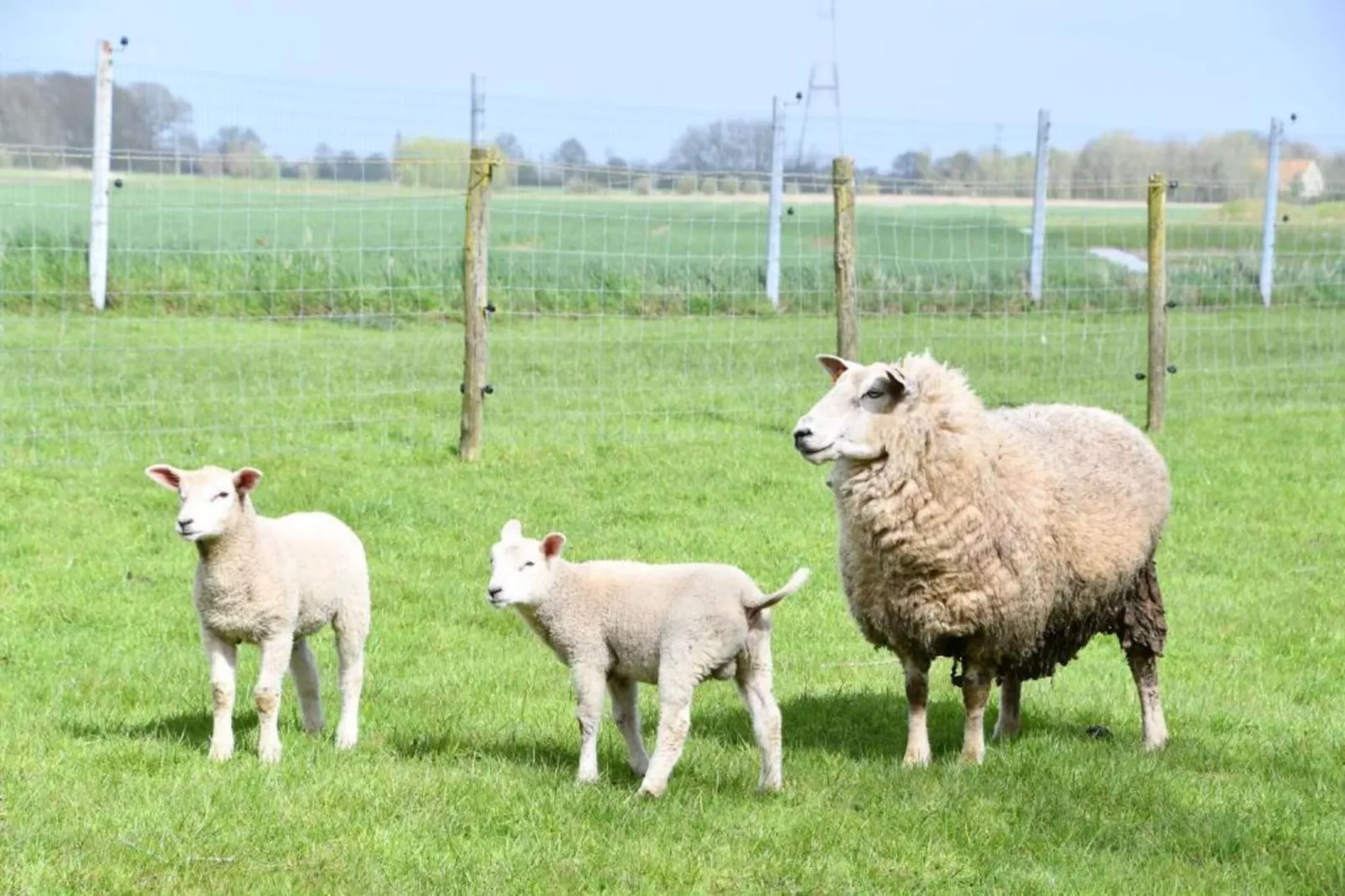 CASINO C-Zones été à 20 km