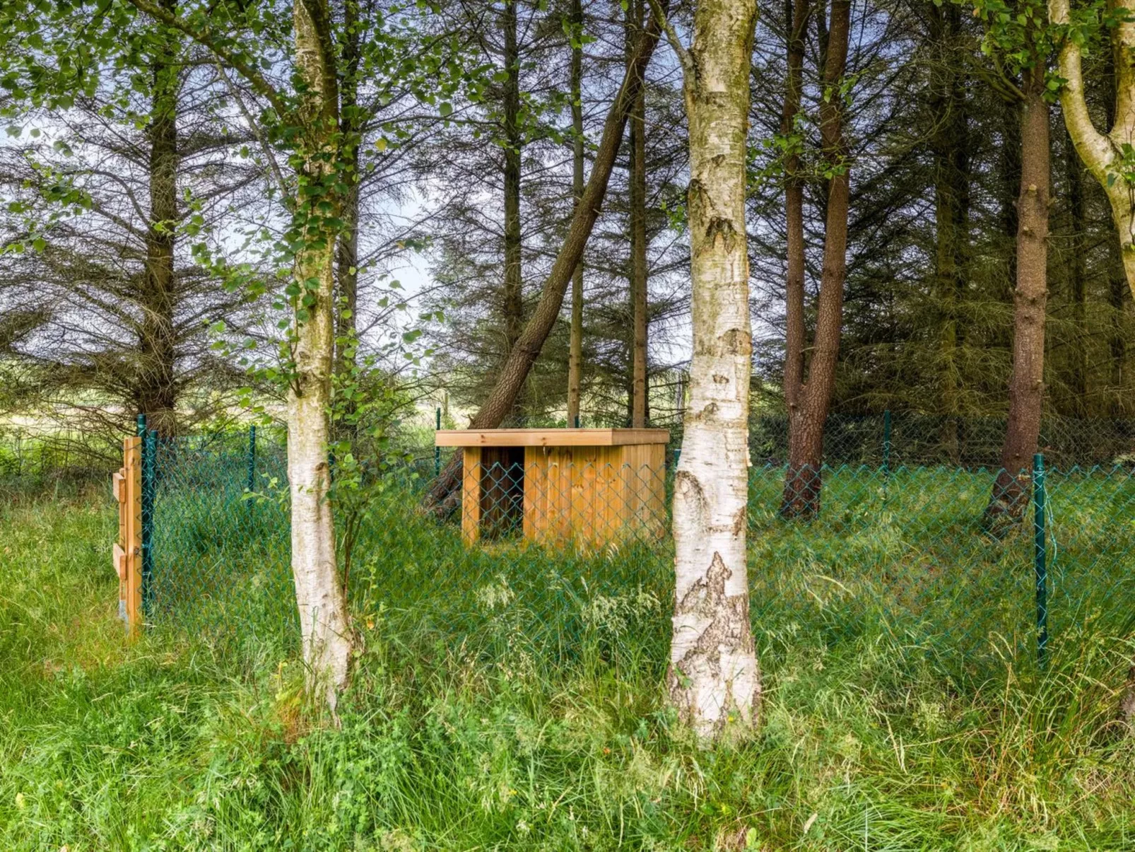 "Marlise" - 2.5km from the sea-Outside