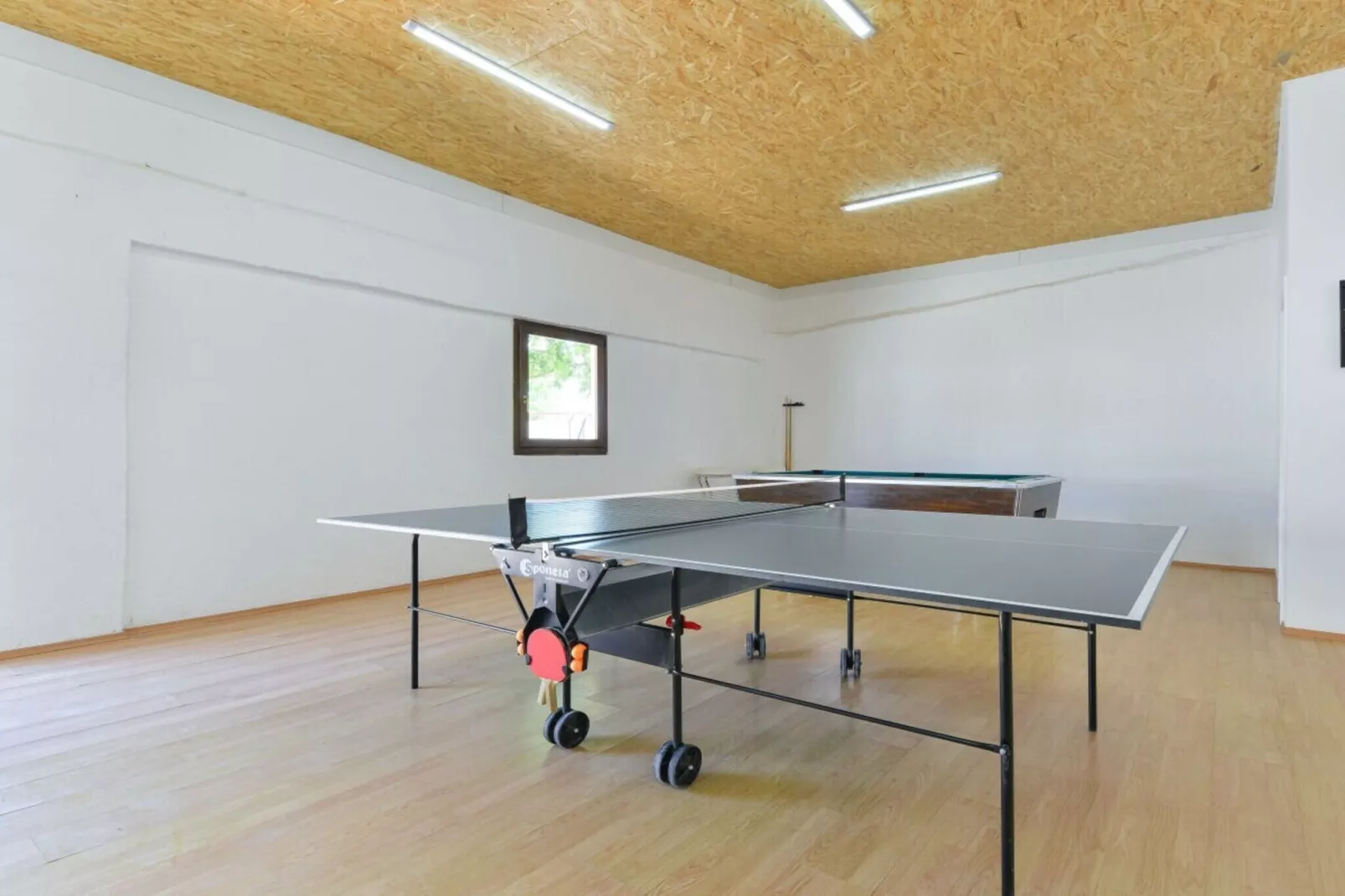 Marinic Comfortable holiday residence-Gym