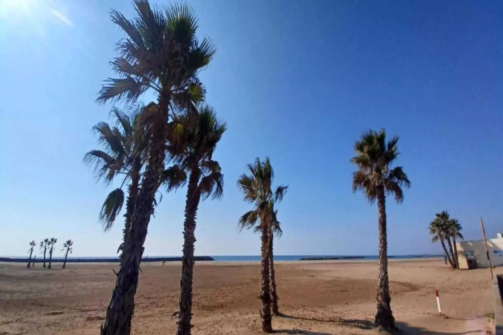 La Dune N°73 - Villa 4P9-Gebiete Sommer 1 km