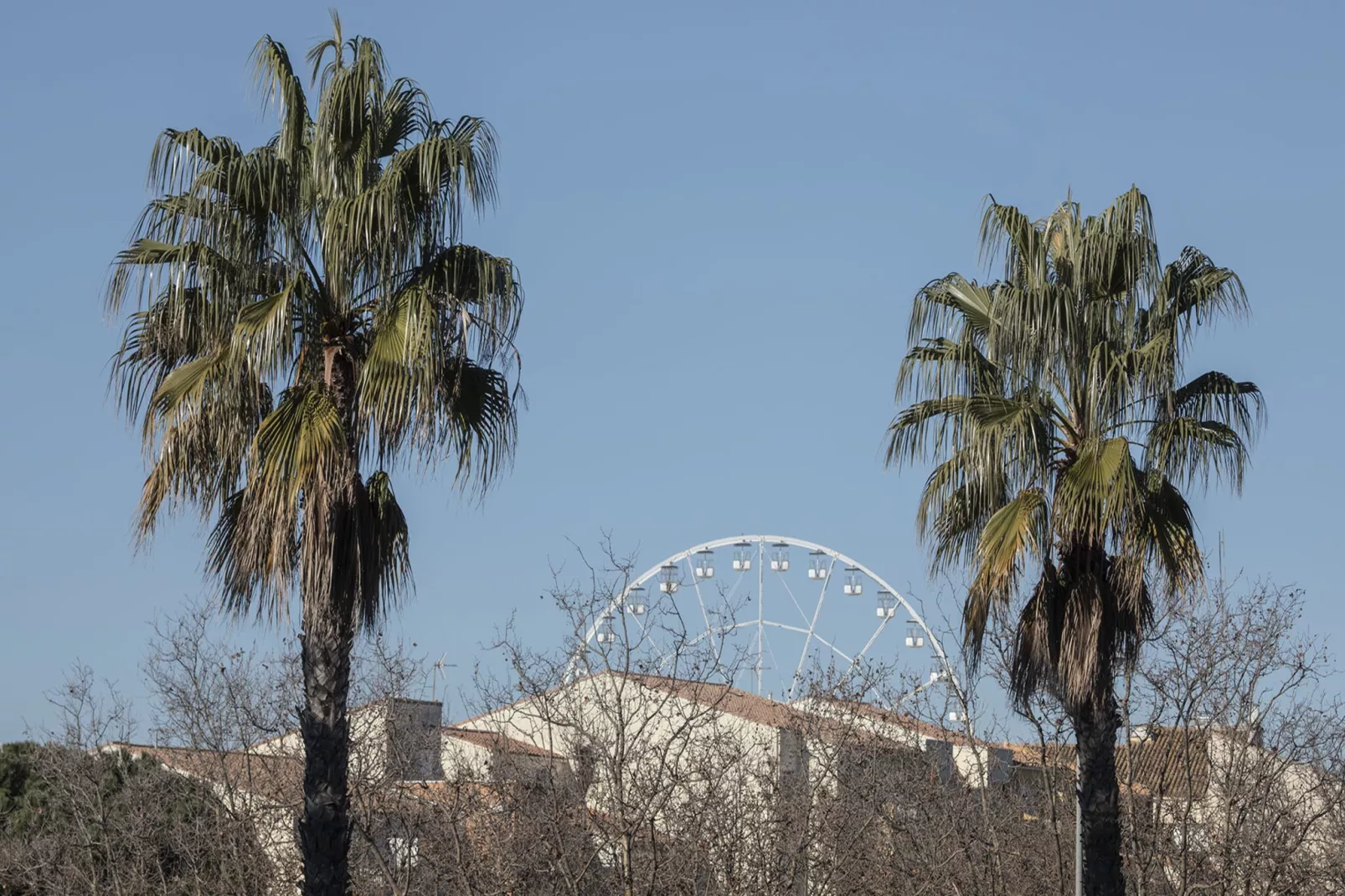 Le Cosmos C N°15 - 2P4-Im Freien