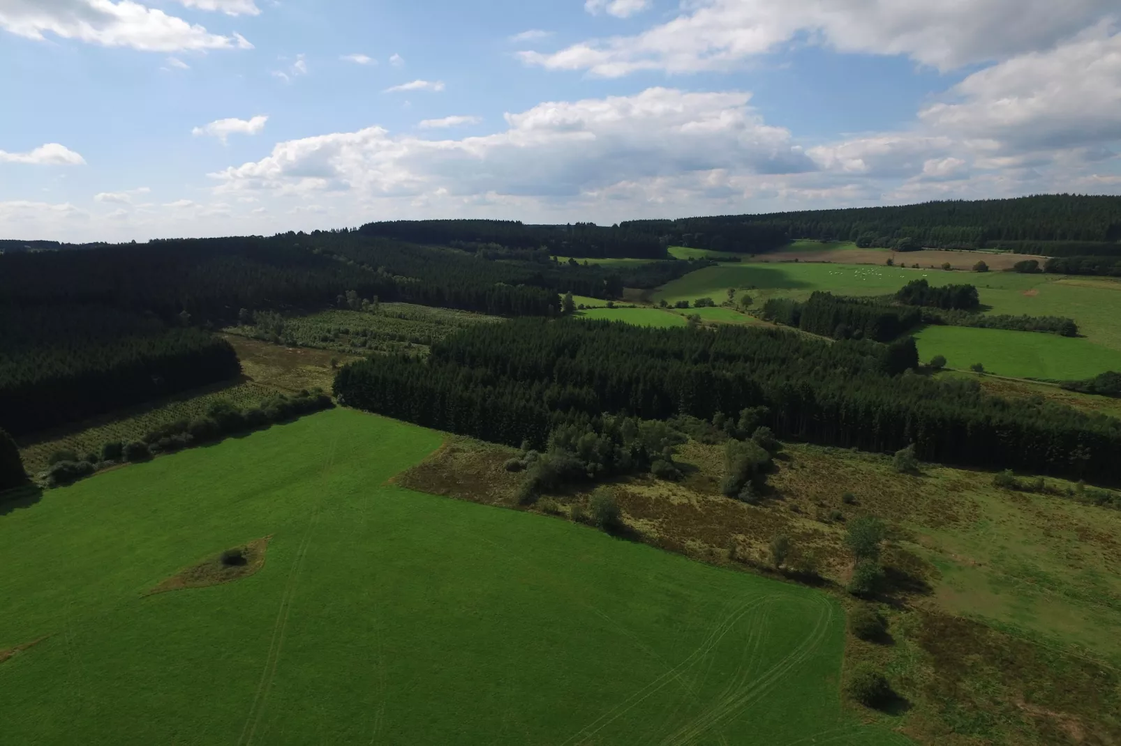 Camping Petite Suisse 7-Areas within 1km in summer