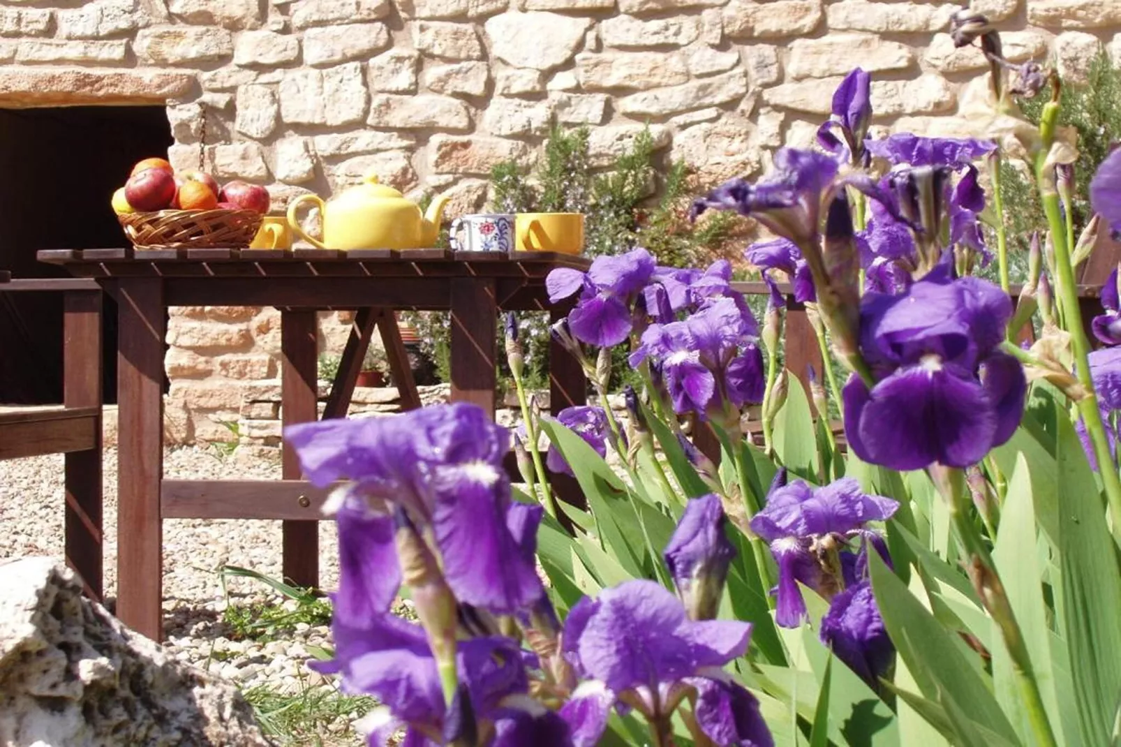 Mas de l'Arlequi - Ambiance