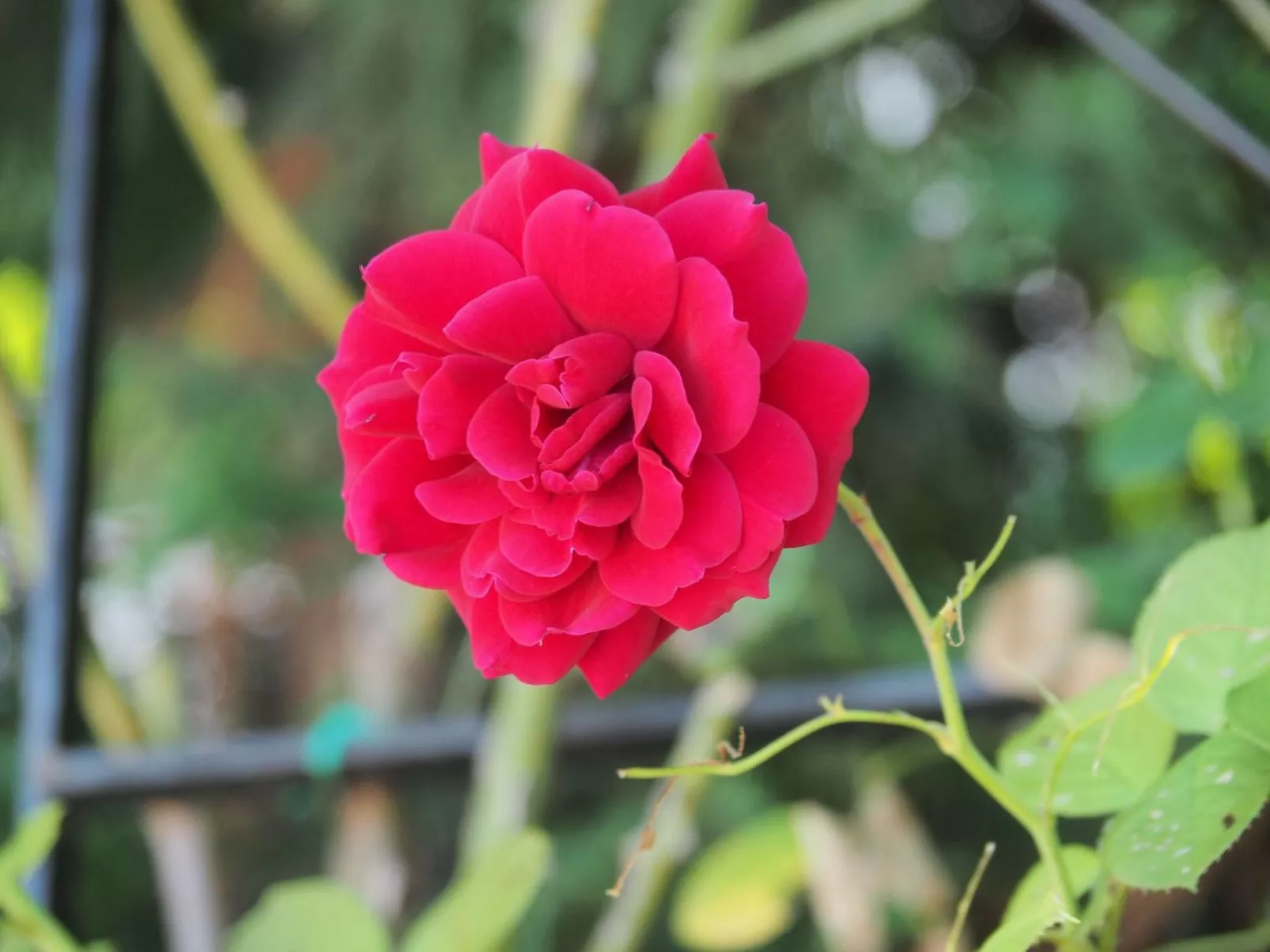 Art House Rovinj-Holiday - Image-tags.info