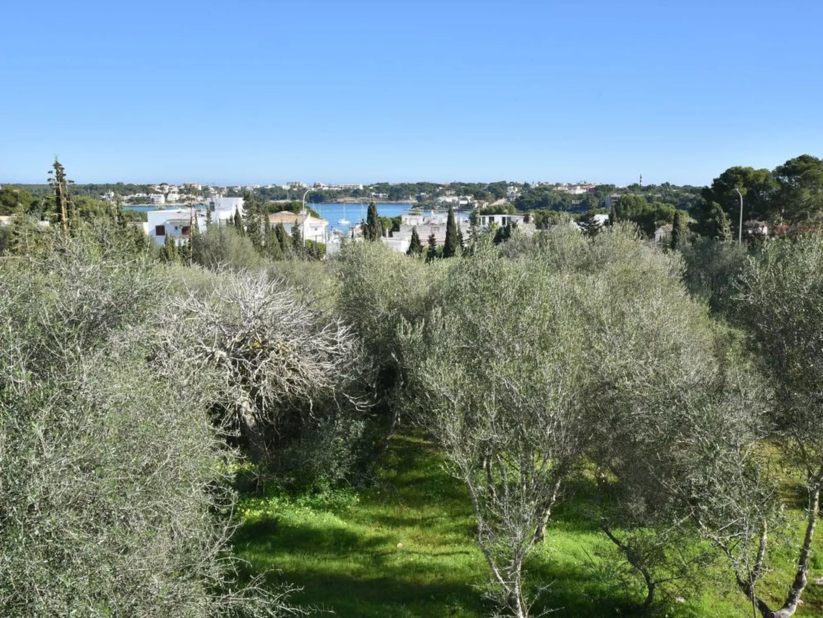 Corso - Dehors