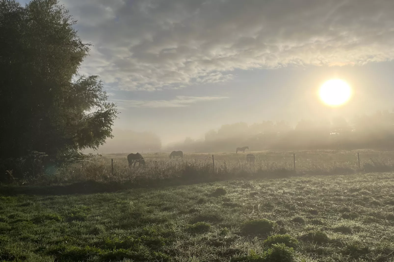 Floating House Paula - Zones été à 20 km