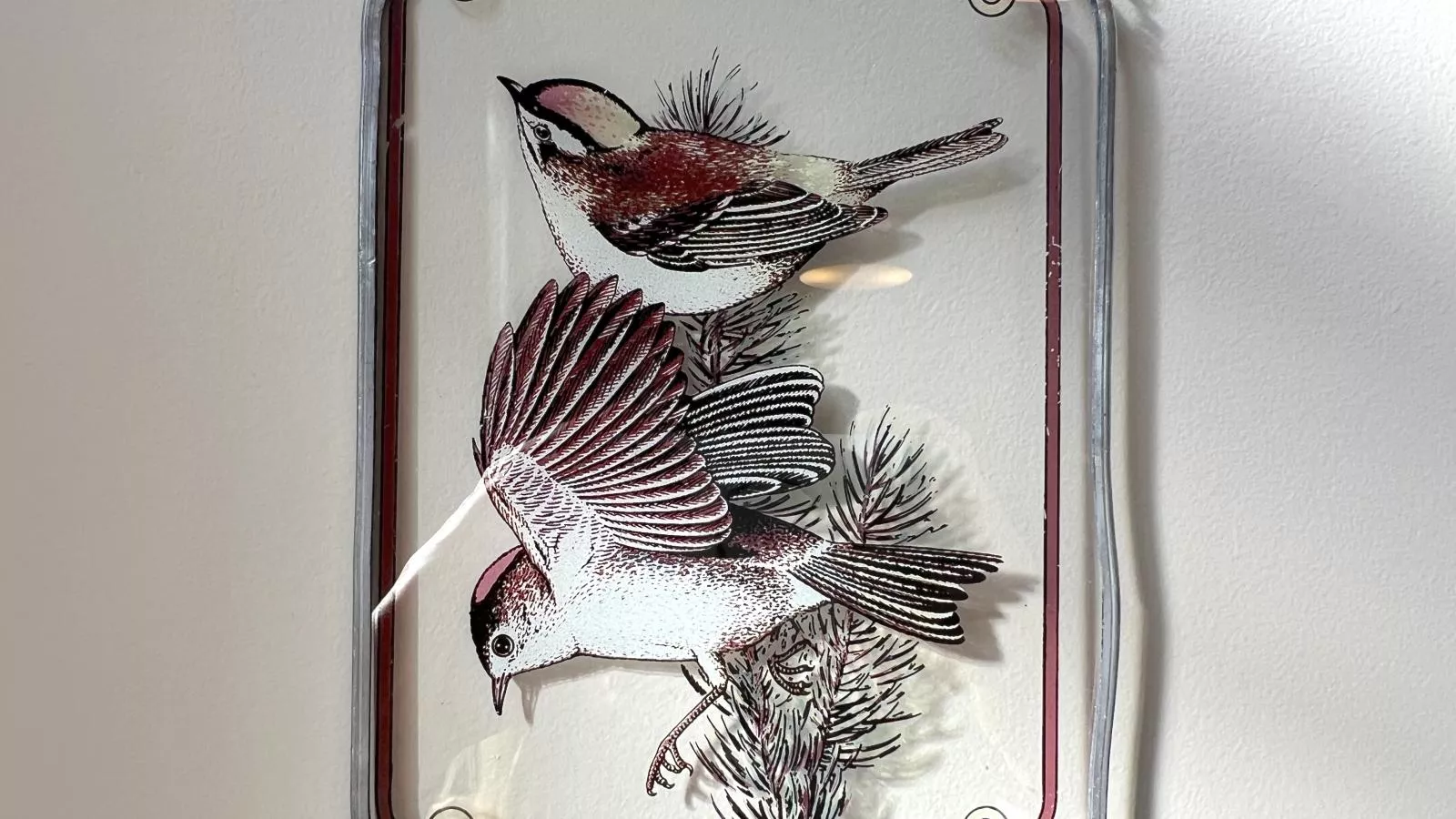 La Maison Bleue Ronse - Ambiente