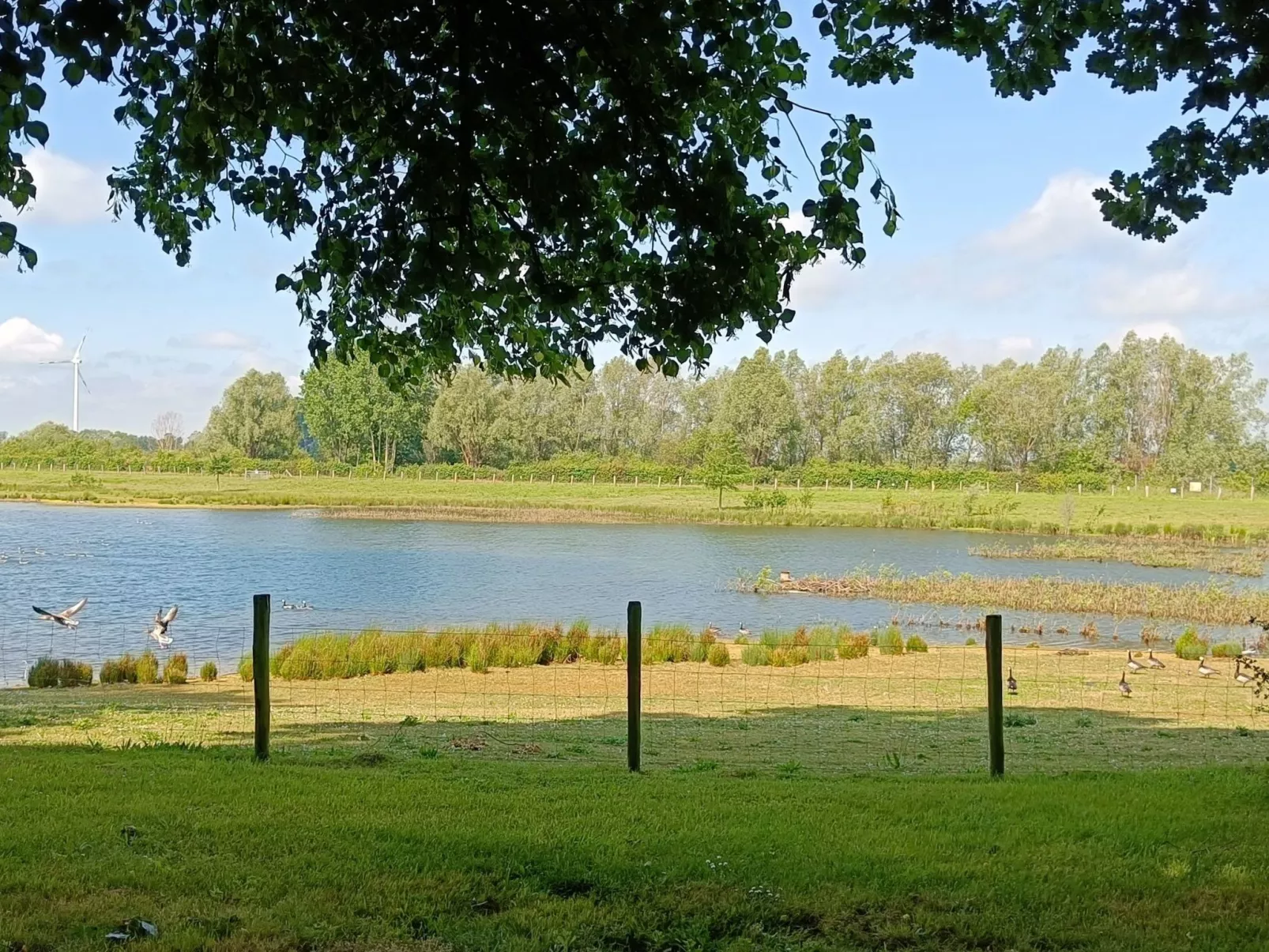 Coproyshof am See - Image-tags.info