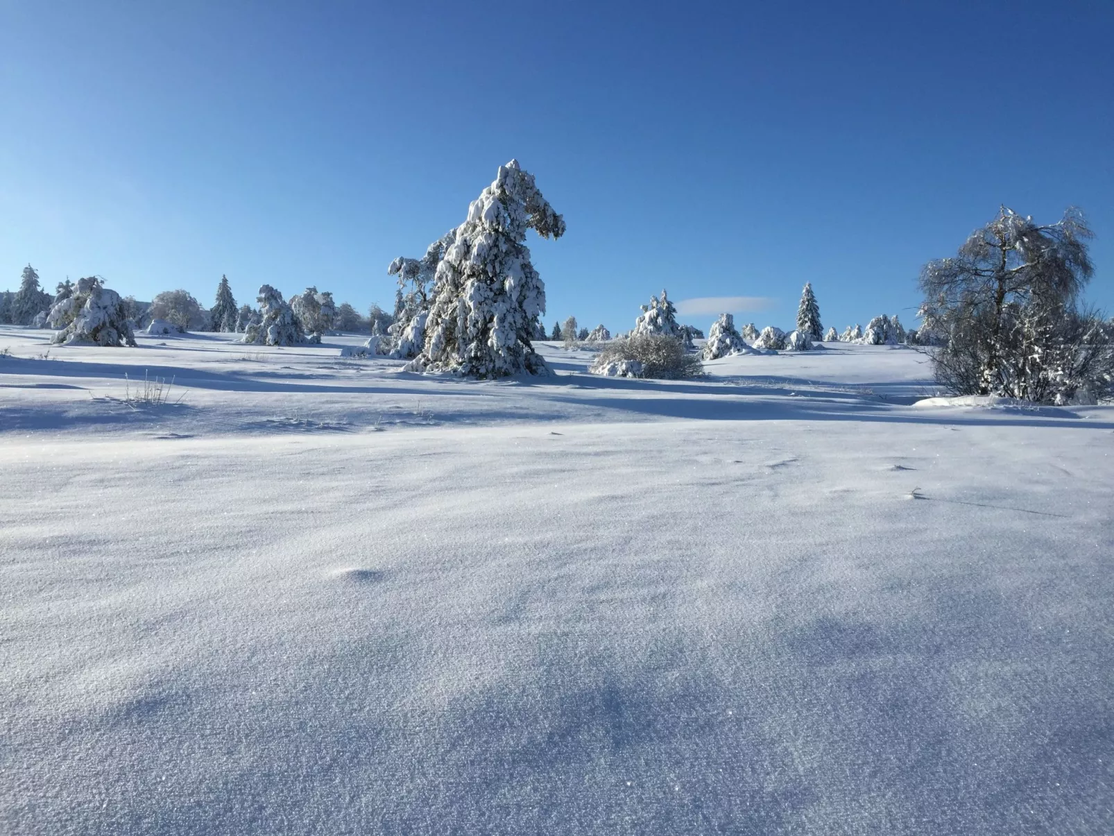 Fachwerkliebe - Image-tags.info