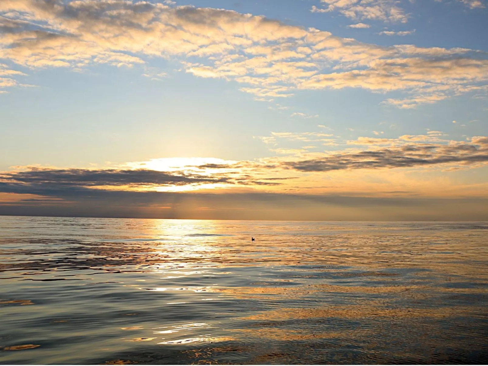 Lena - Image-tags.info