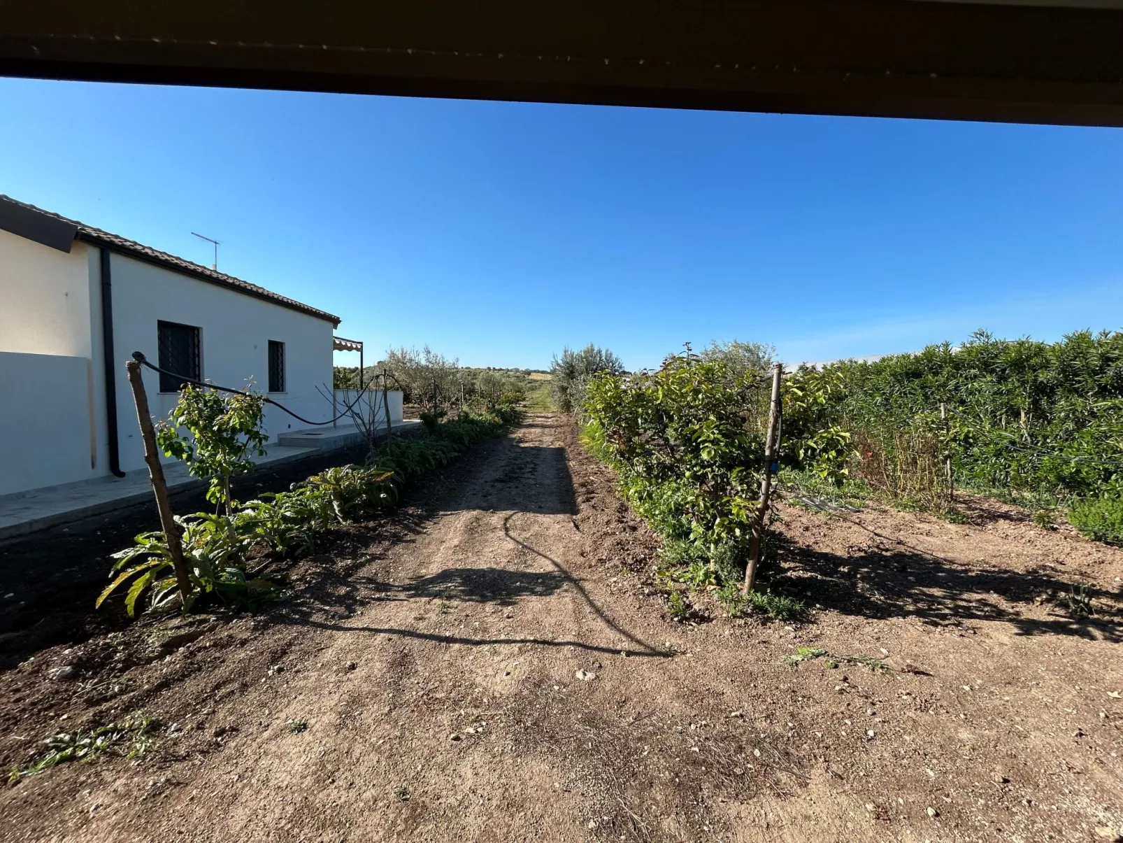 Wohnung in Noto mit Terrasse, gemeinsamem Pool und Garten - Image-tags.info