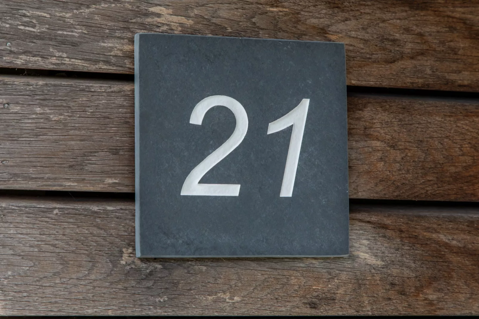 Zonnedorp 21  Beach Villa Joya Renesse | Luxury Beach Villa with Sauna - Ambiance
