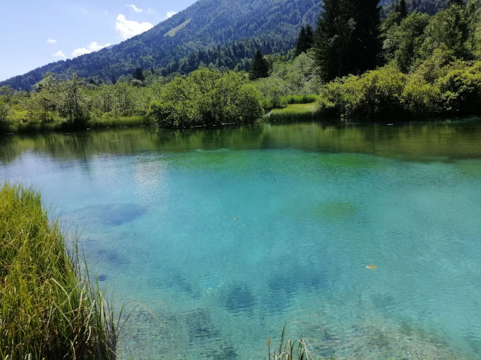 Studio-Appartement mit Balkon - Image-tags.info