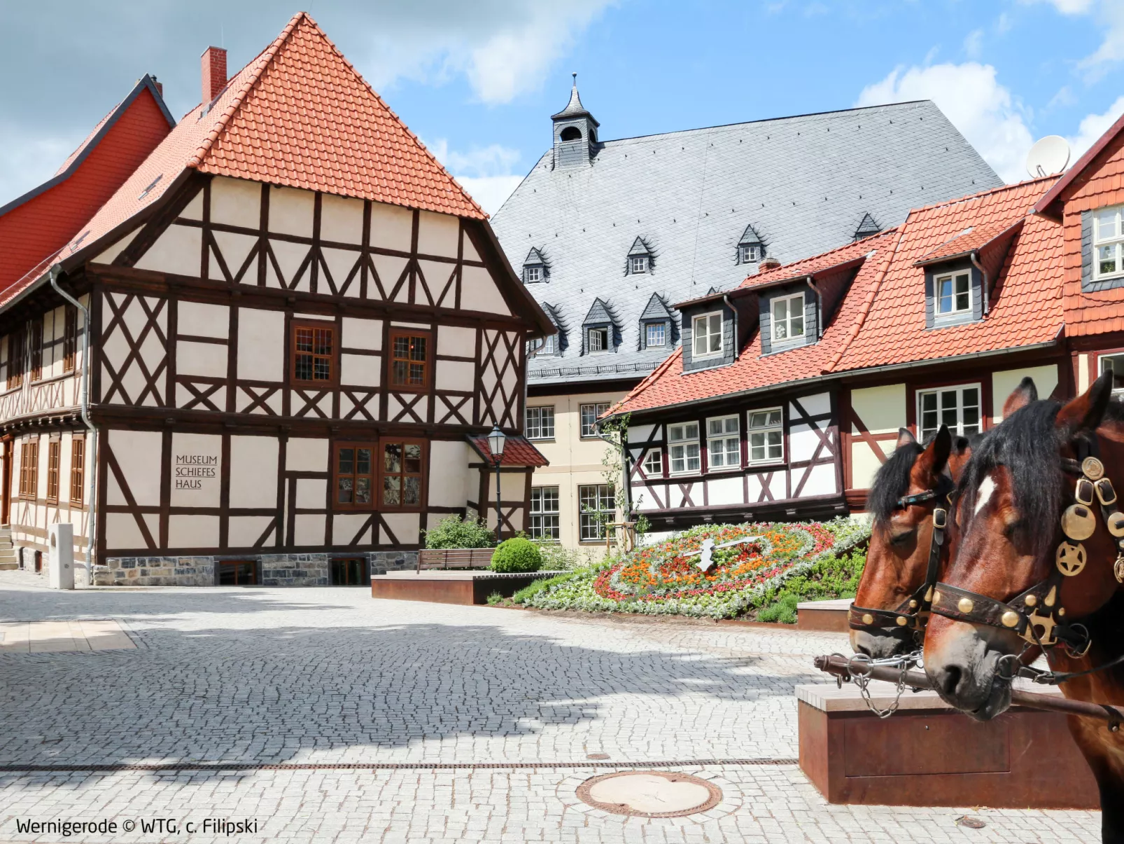 In Wernigerode mit Grill und Garten - Area
