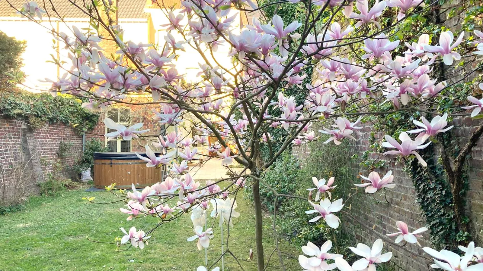 La Maison Bleue Ronse - Garten Sommer