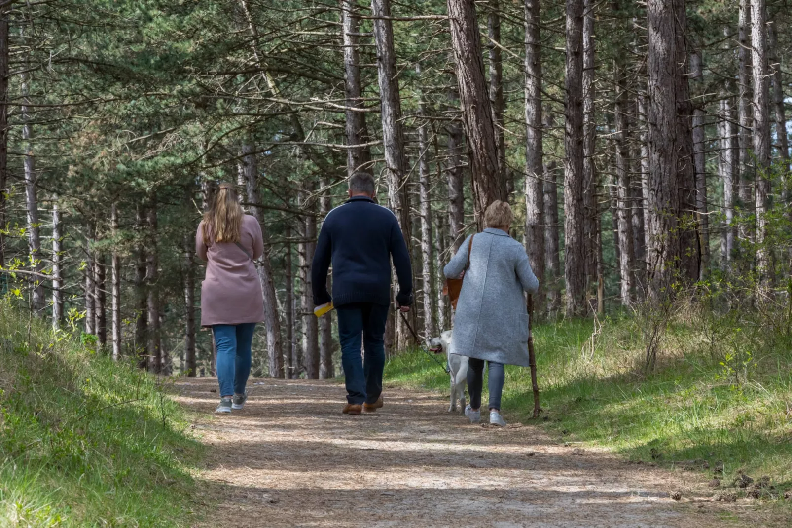 Zonnedorp 22  Holiday Home Anoes Renesse | Beach-nearby Comfort in Zeeland-Untagged