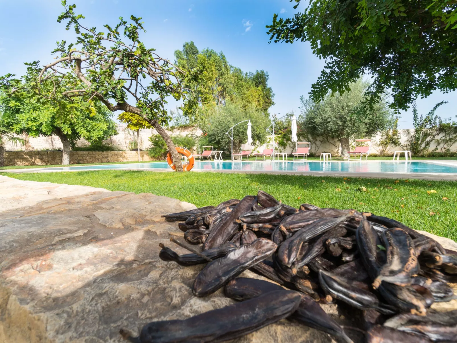 Appartement in Donnalucata mit Großem Garten - Image-tags.info