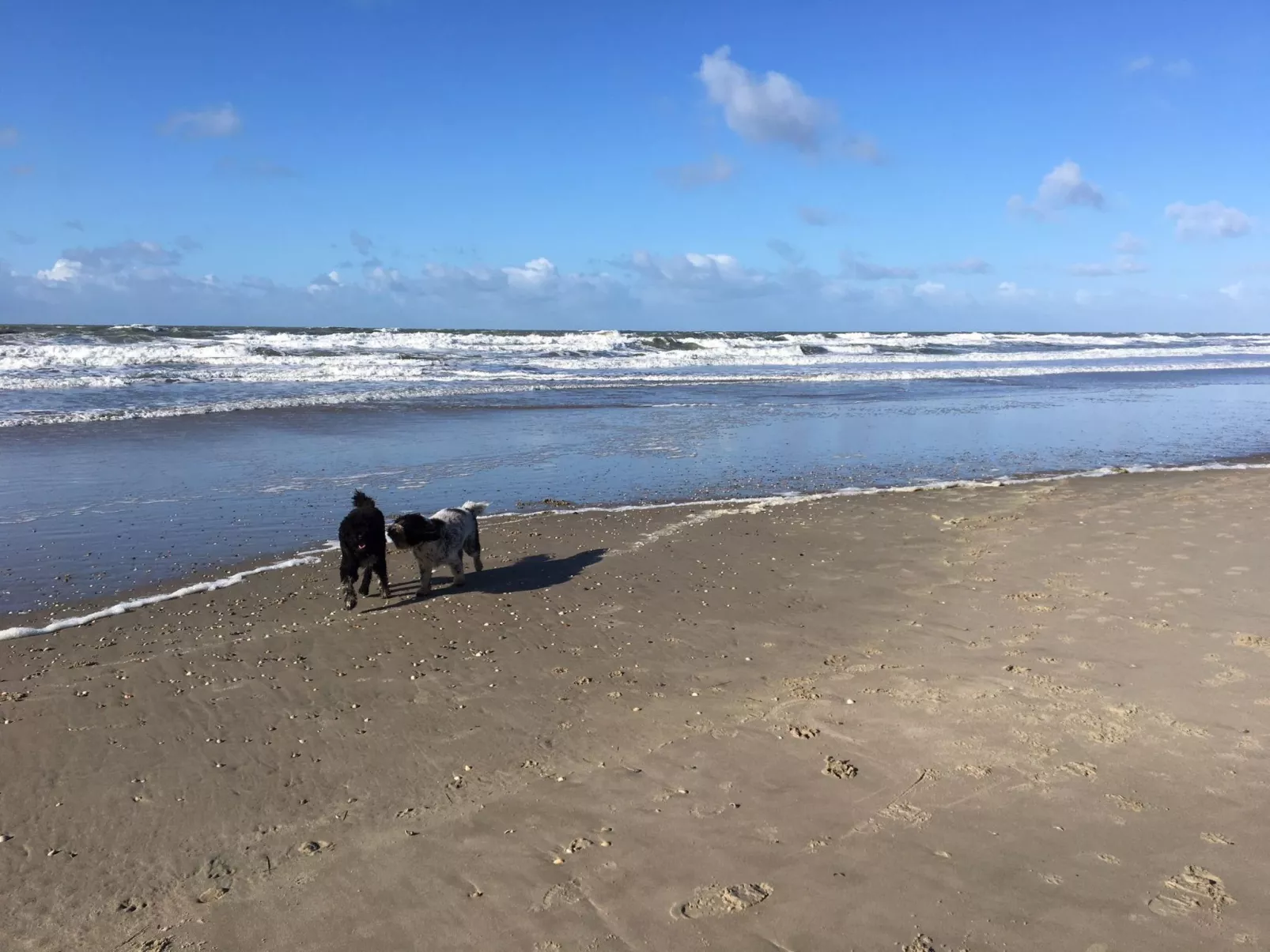 Mit Garten, Grill und Terrasse - Image-tags.info