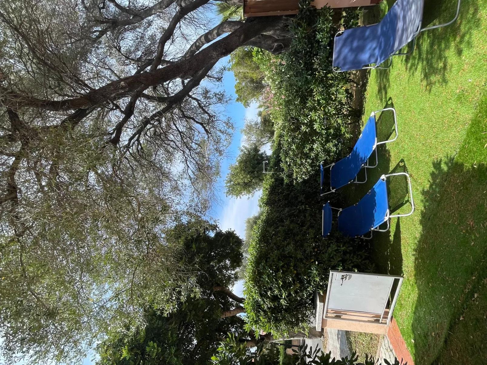 Wohnung "Alter Olivenbaum" mit Garten - Image-tags.info