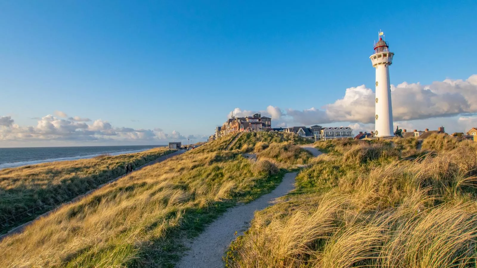 Duinland - Areas within 1km in summer