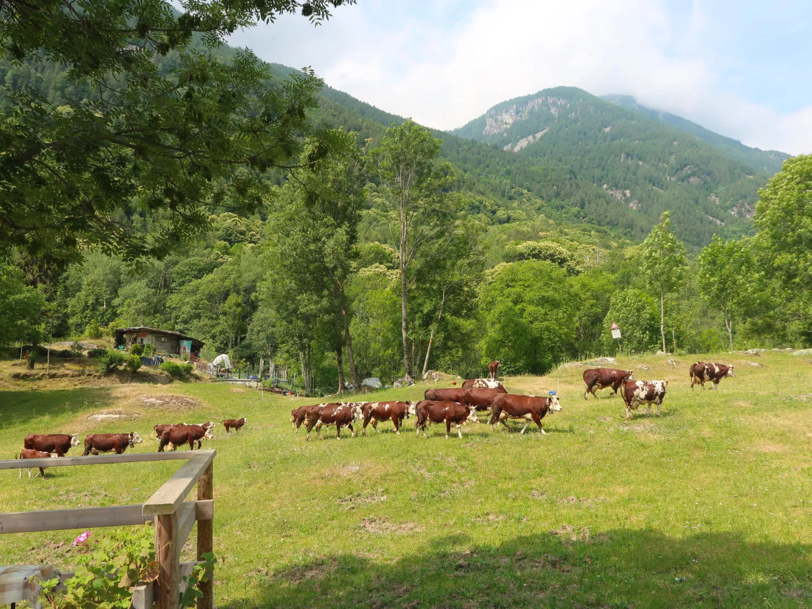 Ivan - Environnement