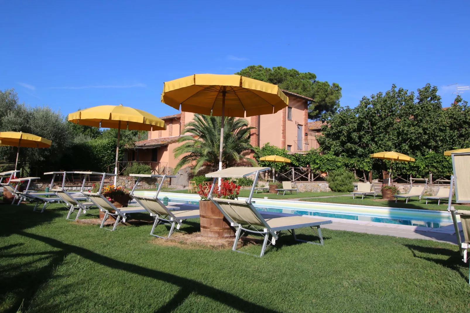 Zinie-Pool