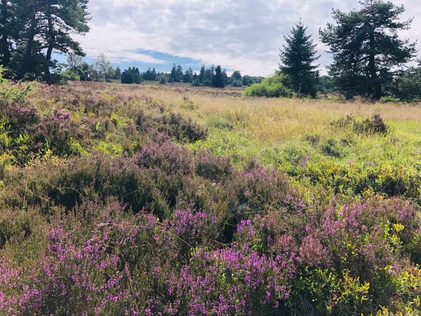 Fachwerkliebe - Image-tags.info