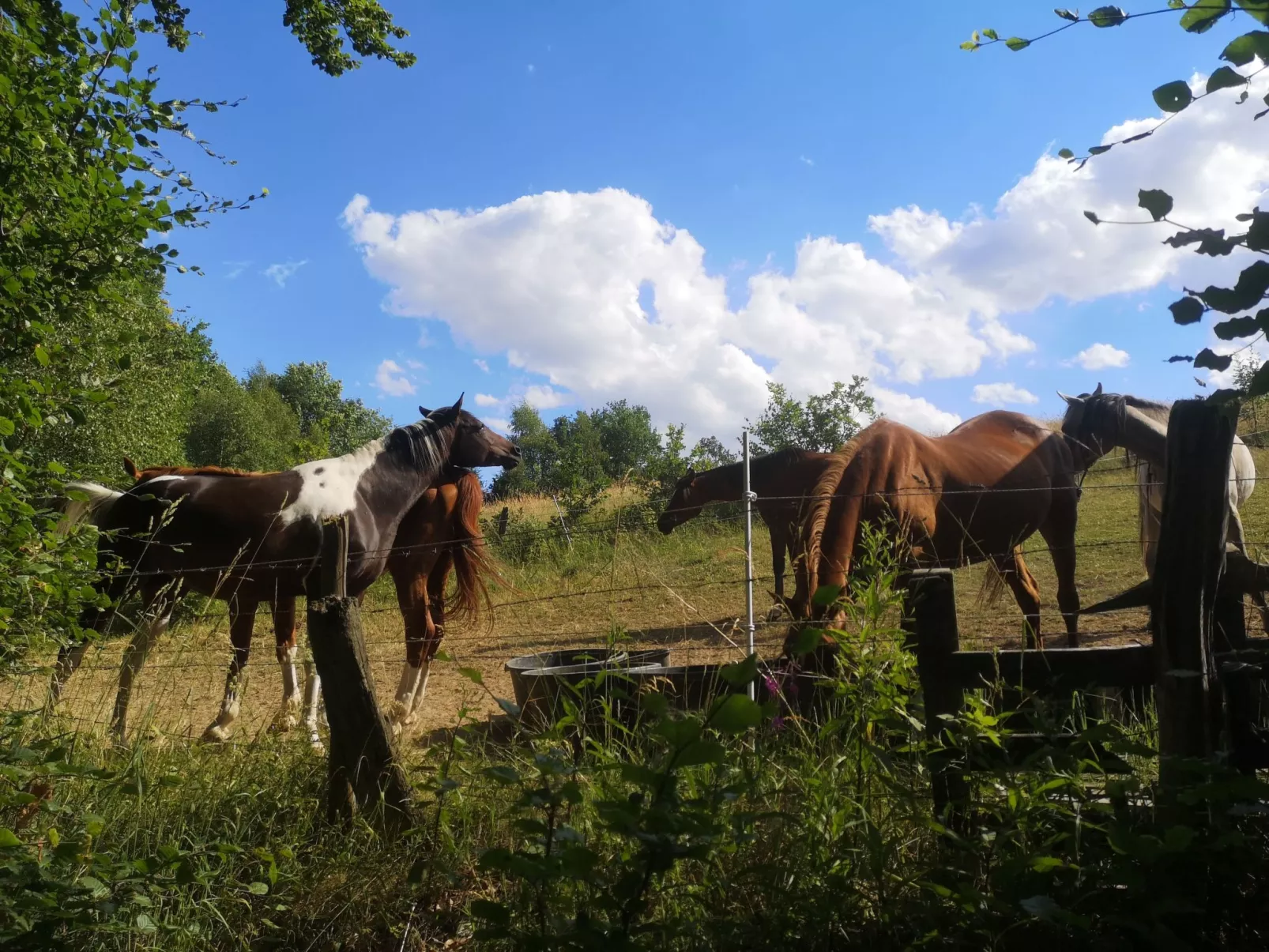 Für 6 Personen ca. 60 m&sup2; in Diemelsee-Heringhausen, Hessen (Hessisches Ber - Image-tags.info