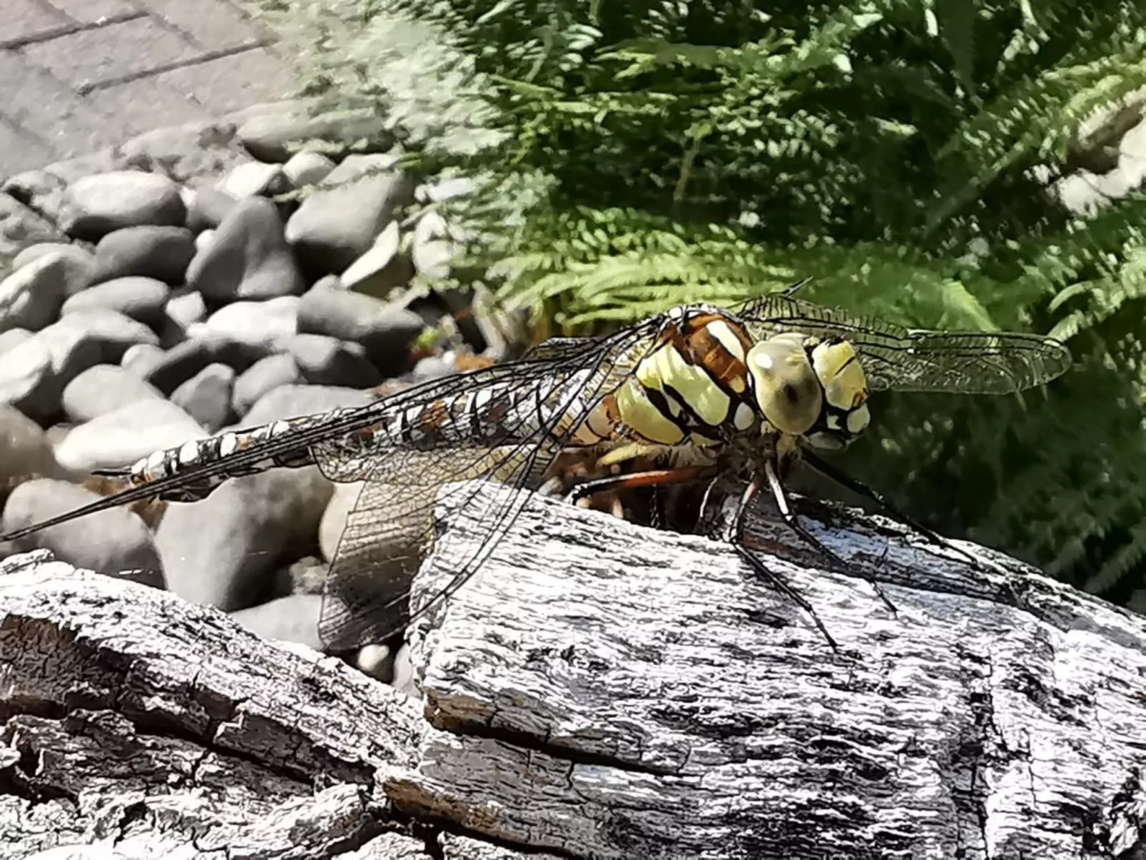 Jägerhaus - Image-tags.info