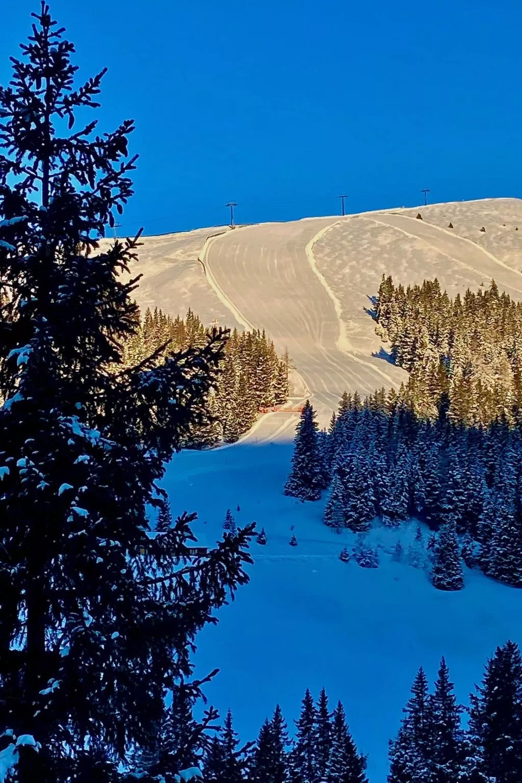 Jagdhütte - Image-tags.info