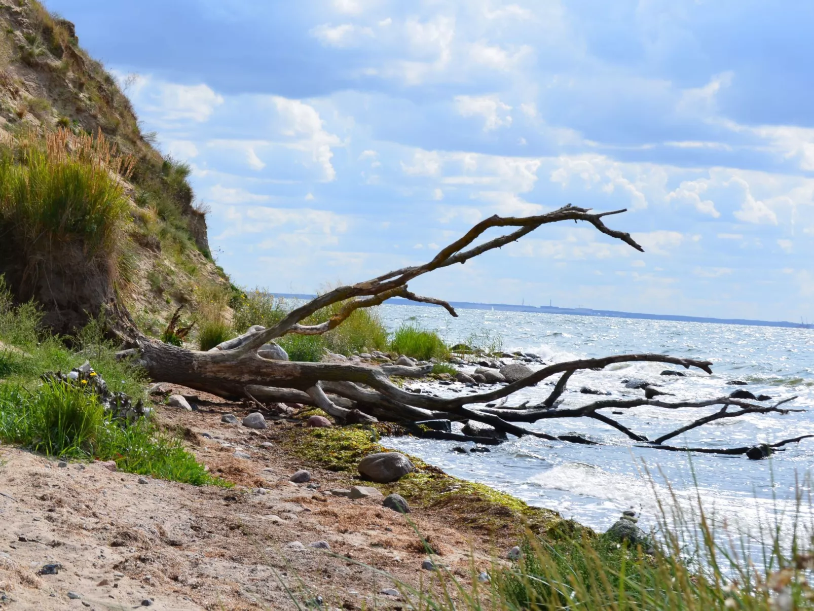 TRADITIONELLES REETDACHHAUS MIT SAUNA, KAMINOFEN UND PRIVATEM WASSERZUGANG - Image-tags.info