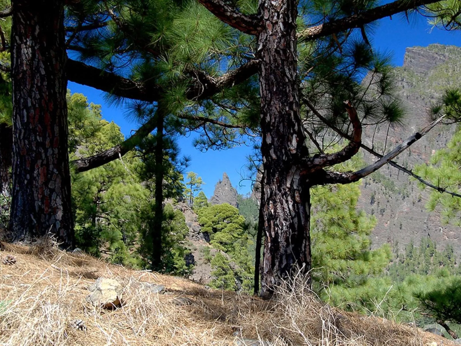 Nettes Ferienhaus in Tijarafe mit Privatem Pool und Panoramablick - Image-tags.info