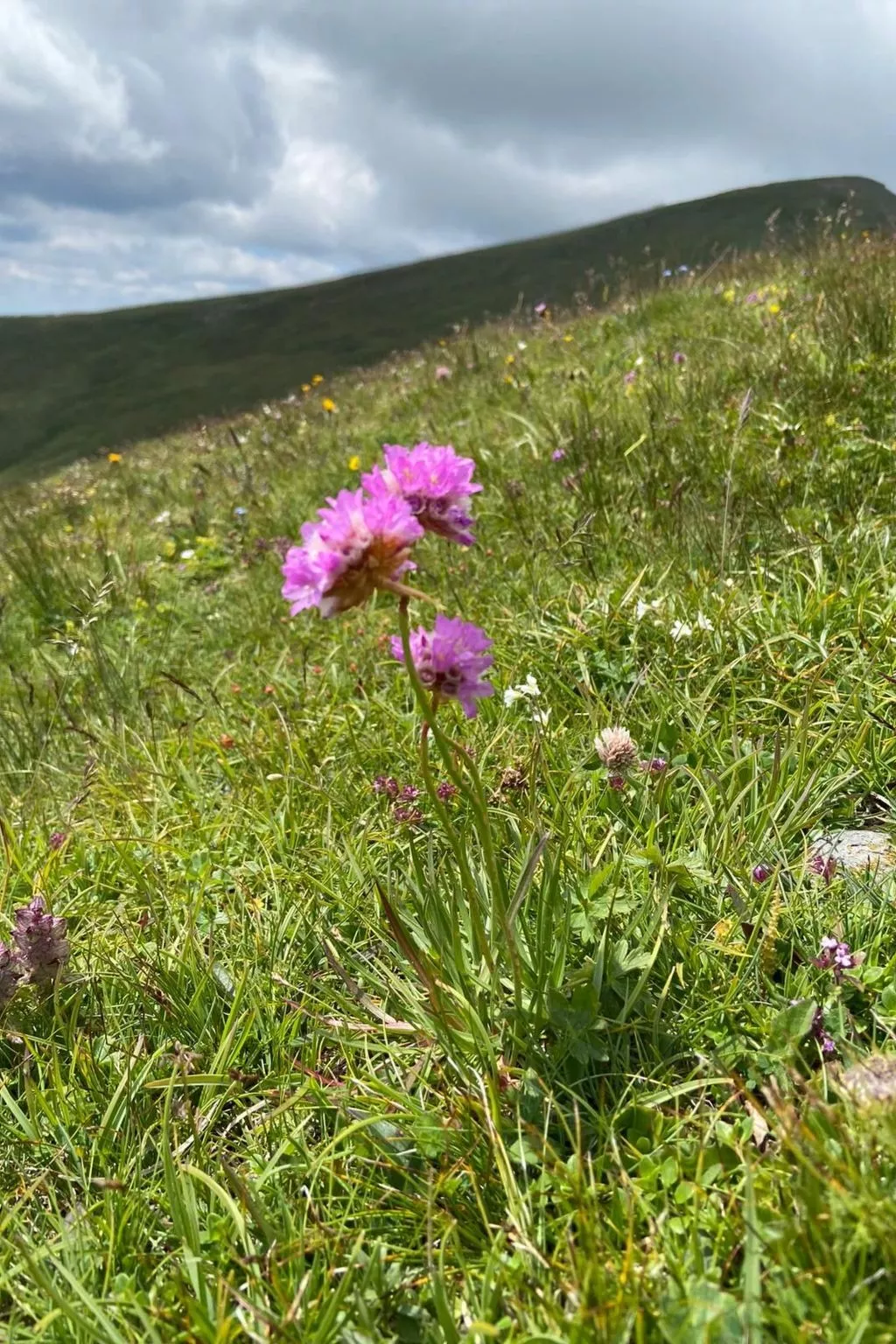 Jagdhütte - Image-tags.info