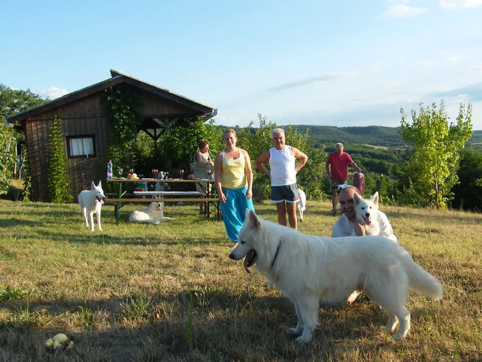 In Döbrököz mit privatem Pool - Image-tags.info