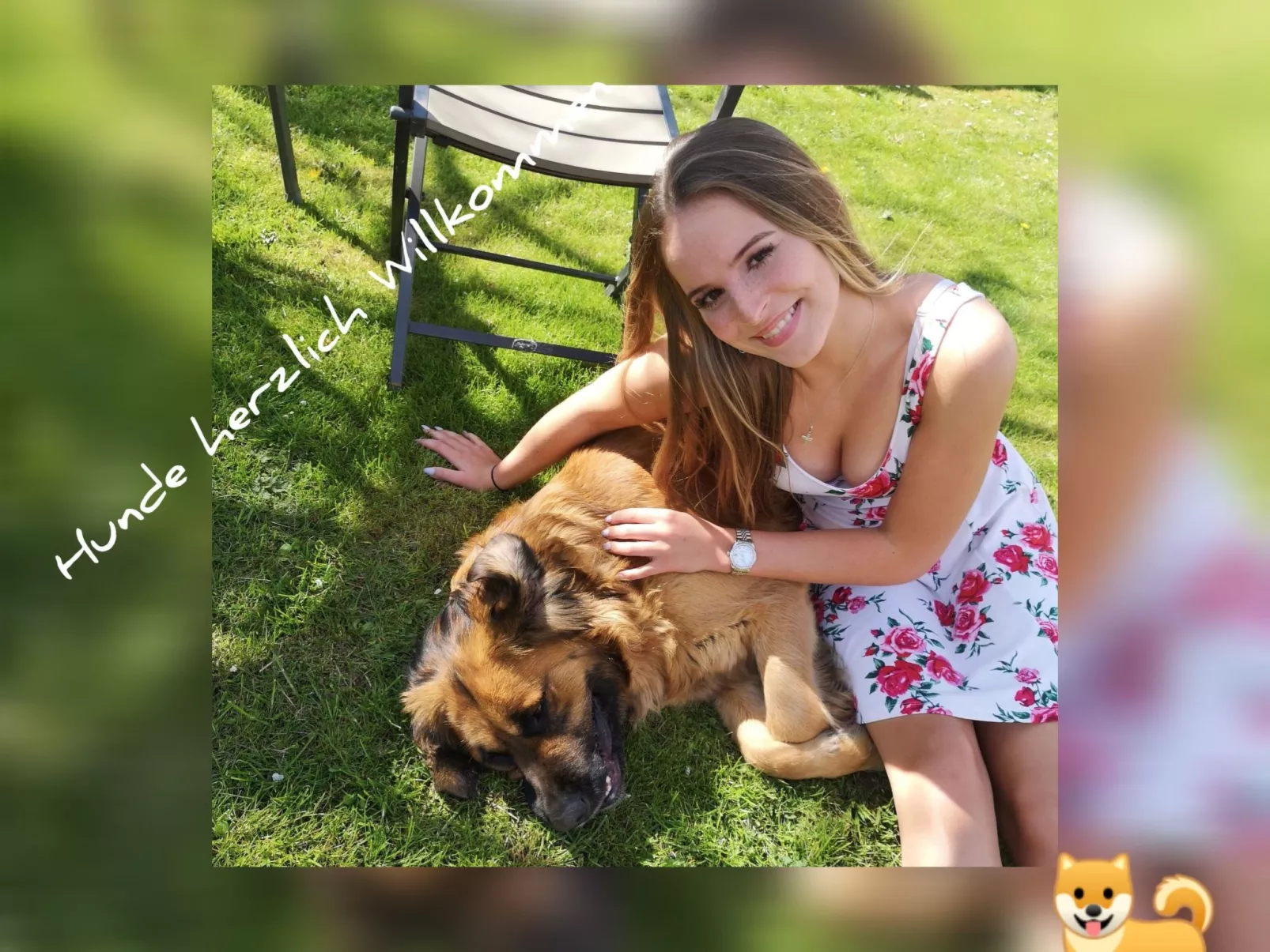 Diemelseeholiday Ferienwohnung im Sauerland - Image-tags.info