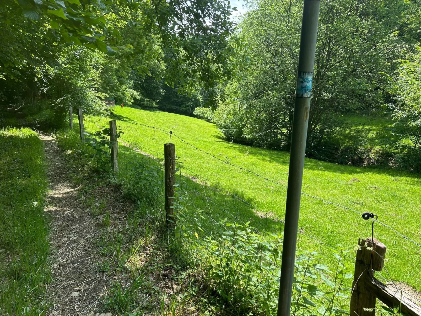 The Forest Retreat - Image-tags.info