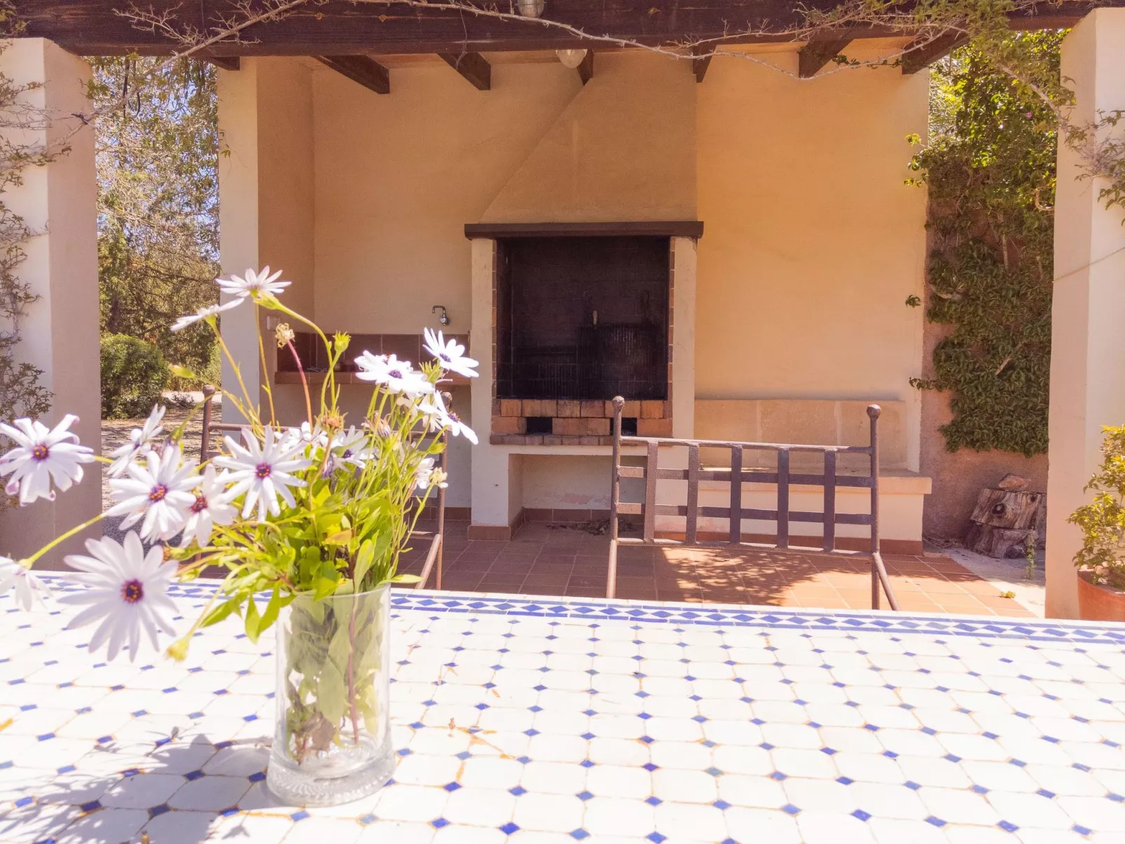 Finca Mal Ric - Dehors