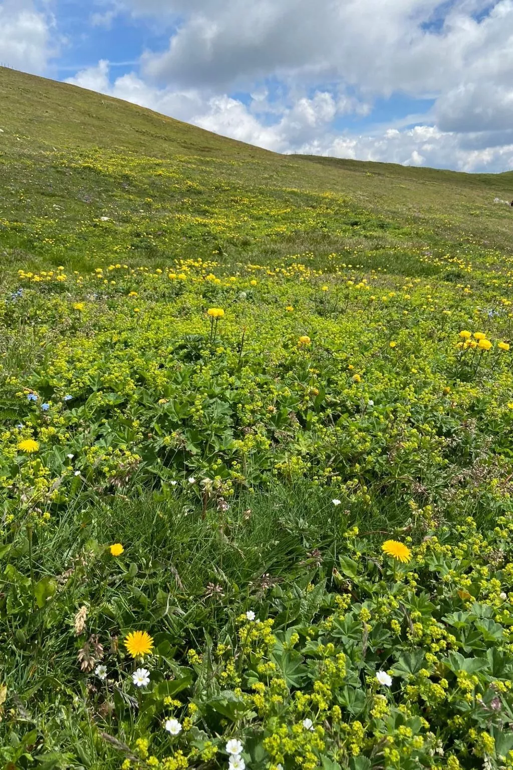 Jagdhütte - Image-tags.info